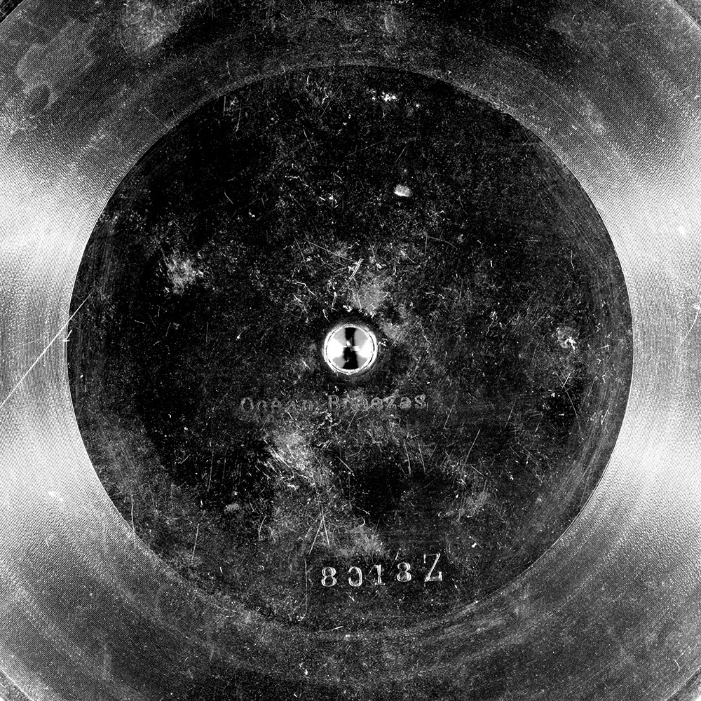 Label of the record with ID 14dbc5631e42ba237a9cf0f92b99e603