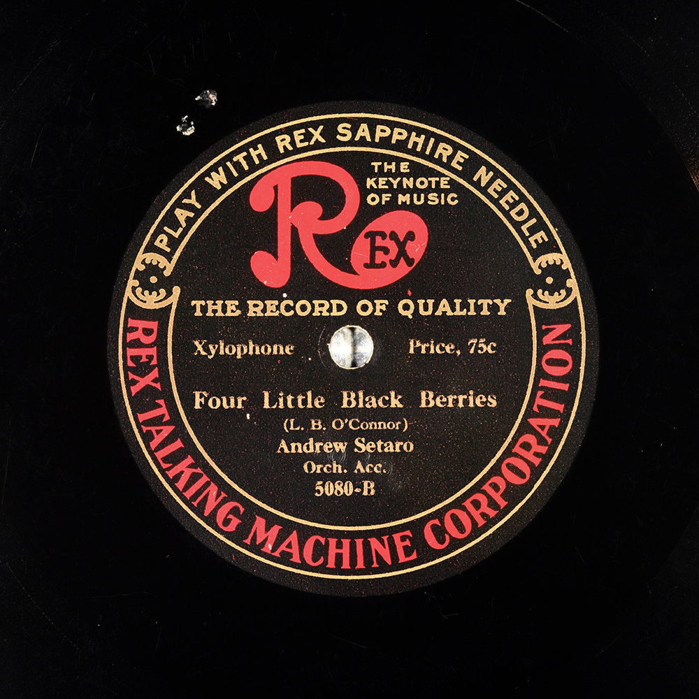 Label of the record with ID 9cf3782878ba903c91ce06a00653412b