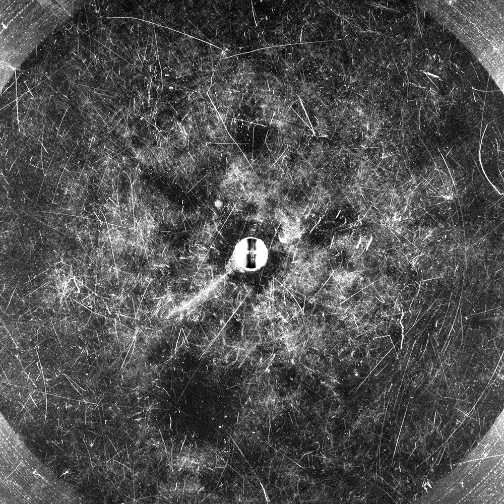 Label of the record with ID a013084619bebe59163030a3f2058b47