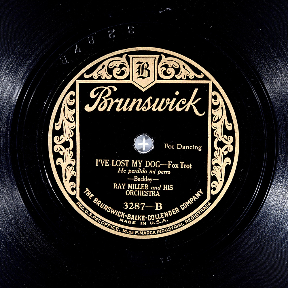 Label of the record with ID 01a5c5ccd8d0a8eab916e6ef7a8f5b3e