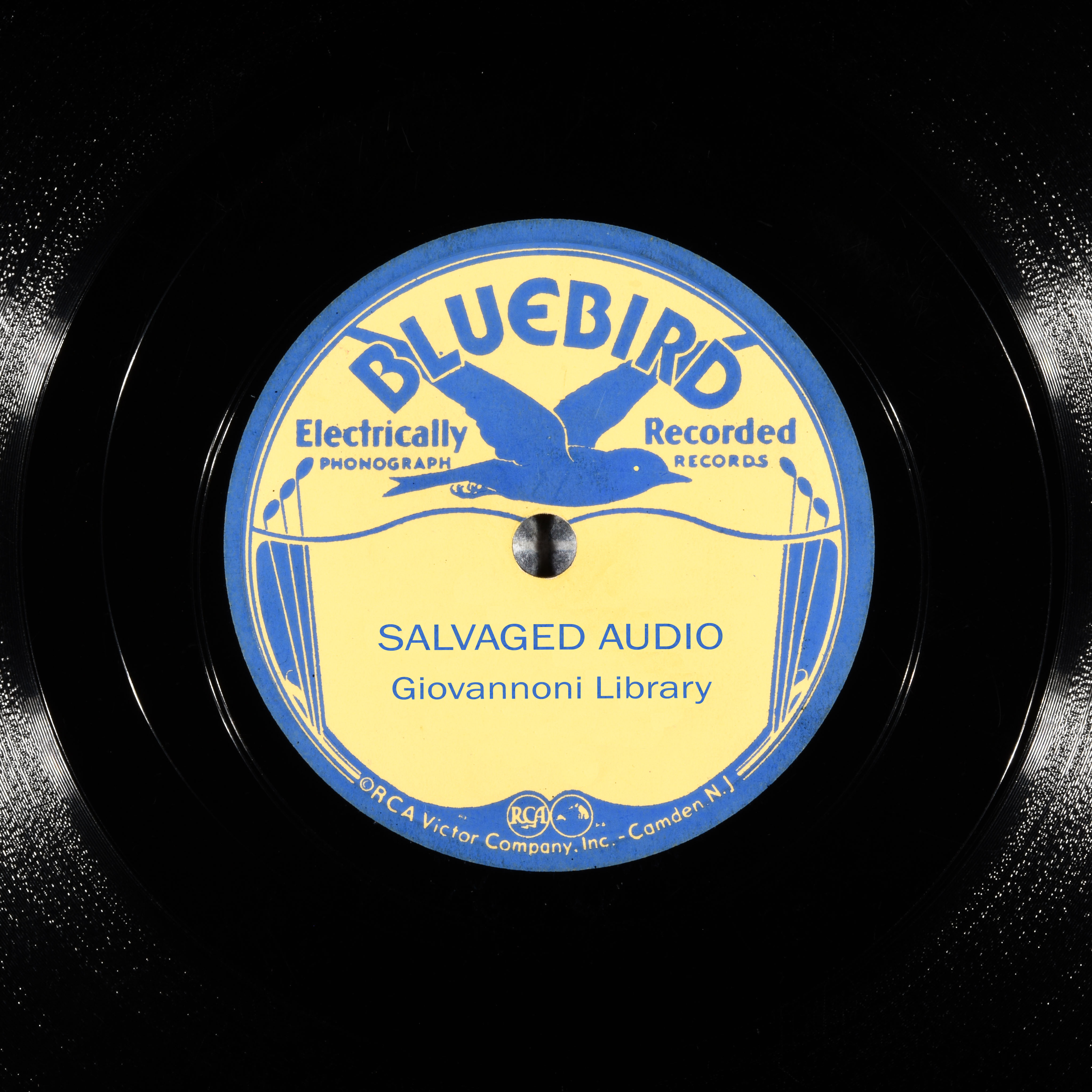 Label of the record with ID 0a7ff02ed42c1091a2b7f97a21086114