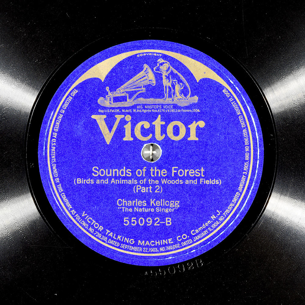 Label of the record with ID 4e021f8cdcf4c3dc327559007b8615f8