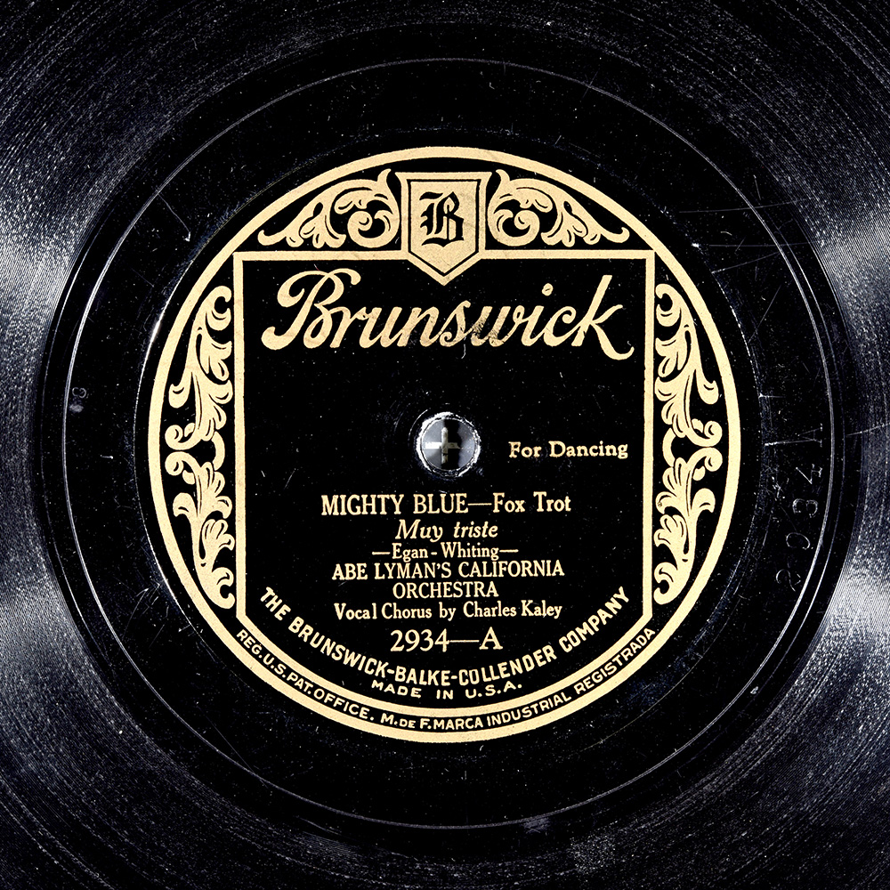 Label of the record with ID 614461370ee0027a4fbfa2a845c30259