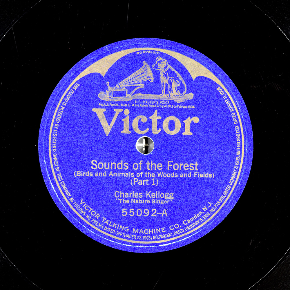 Label of the record with ID a256ca2a951641a5dbca53b741ee5966